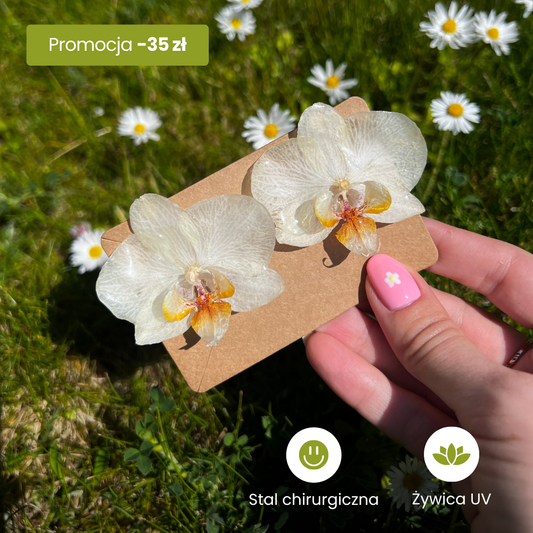 Kolczyki Orchidea Klasyczna™ - Bratki