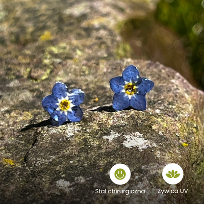 Kolczyki Delikatna Niezapominajka™