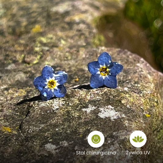 Kolczyki Delikatna Niezapominajka™